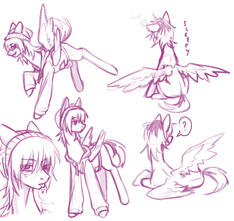 Phoen but pony